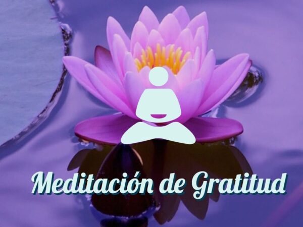 Meditación Gratitud - Productos - Vanessa Rivas
